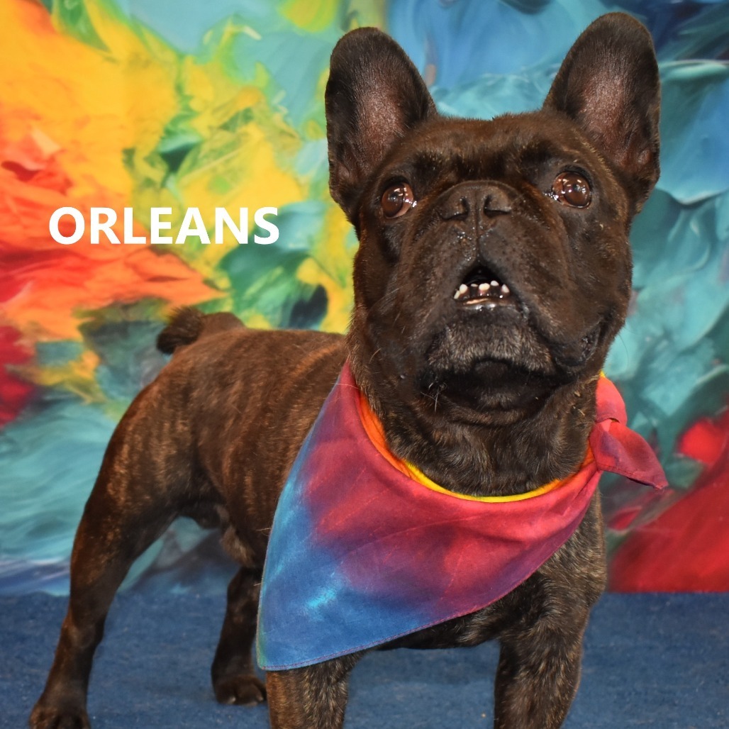 Orleans