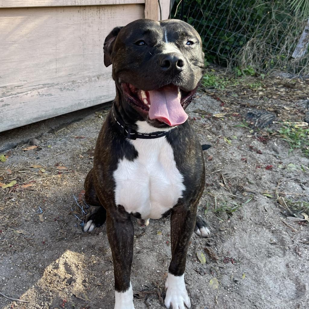 Arthur AKA Cesar