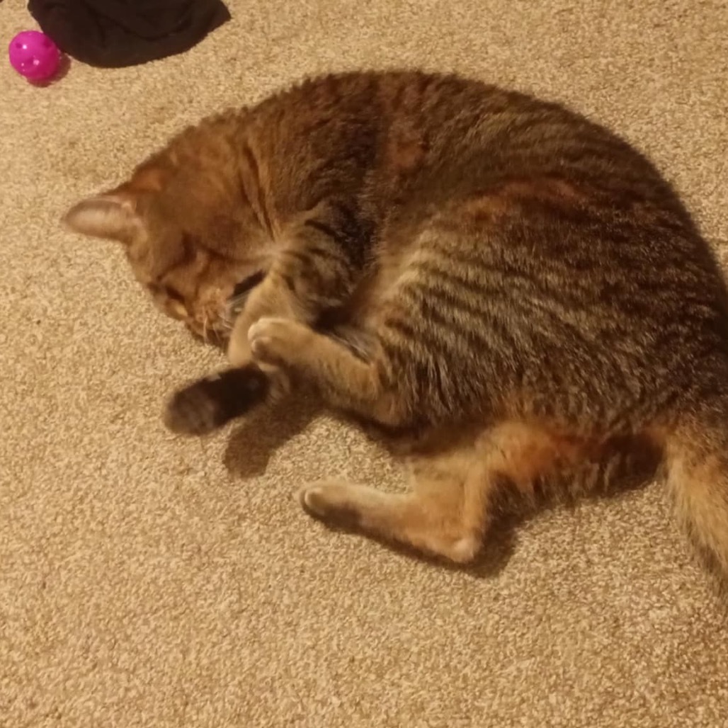 Rosie