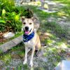 Smytty photo 2