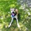 Smytty photo 4