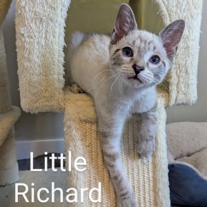 Little Richard, Baby Male unknown
