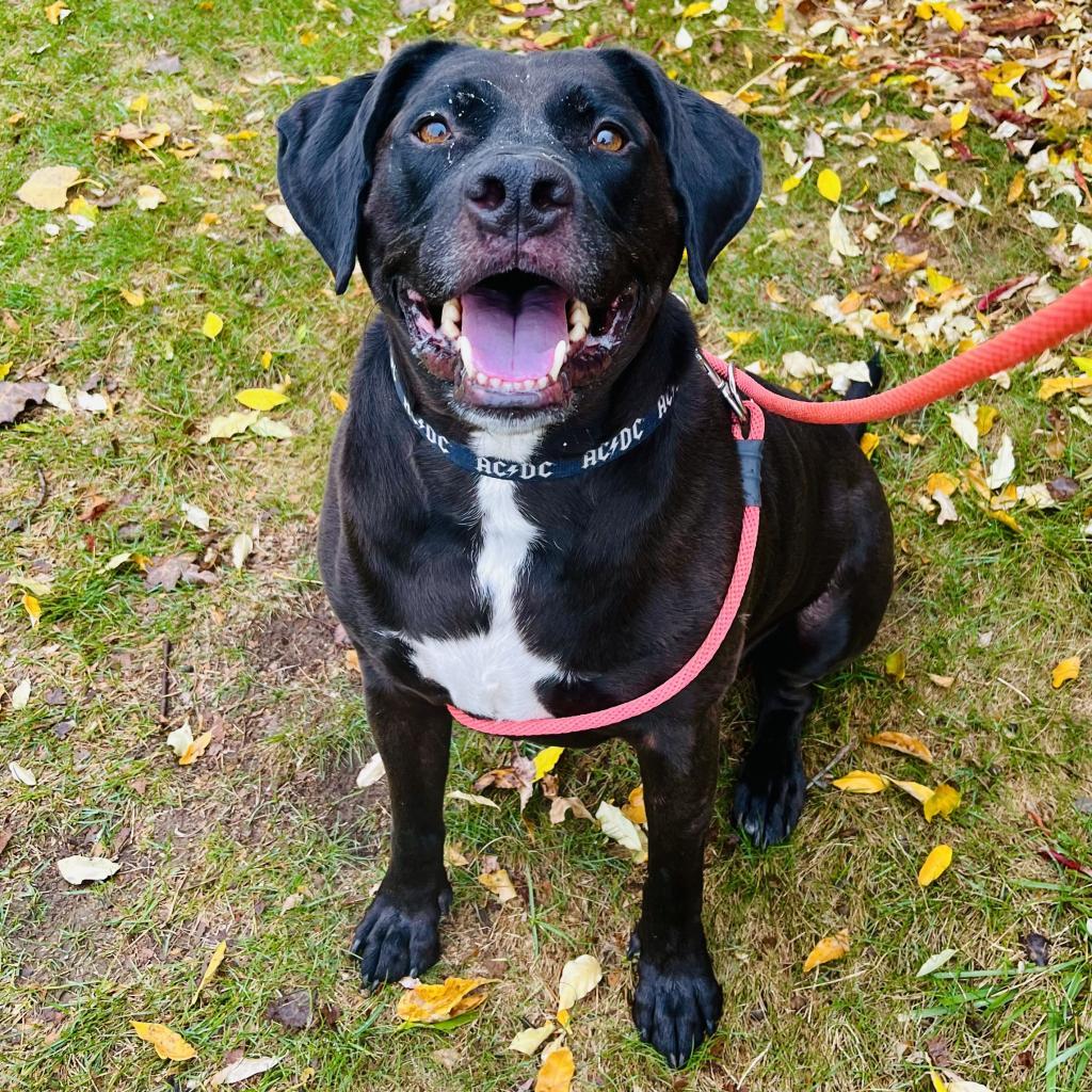 Rufus