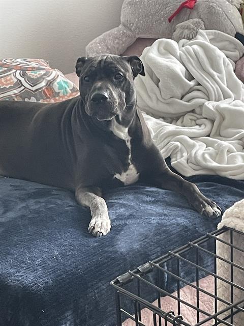 REX