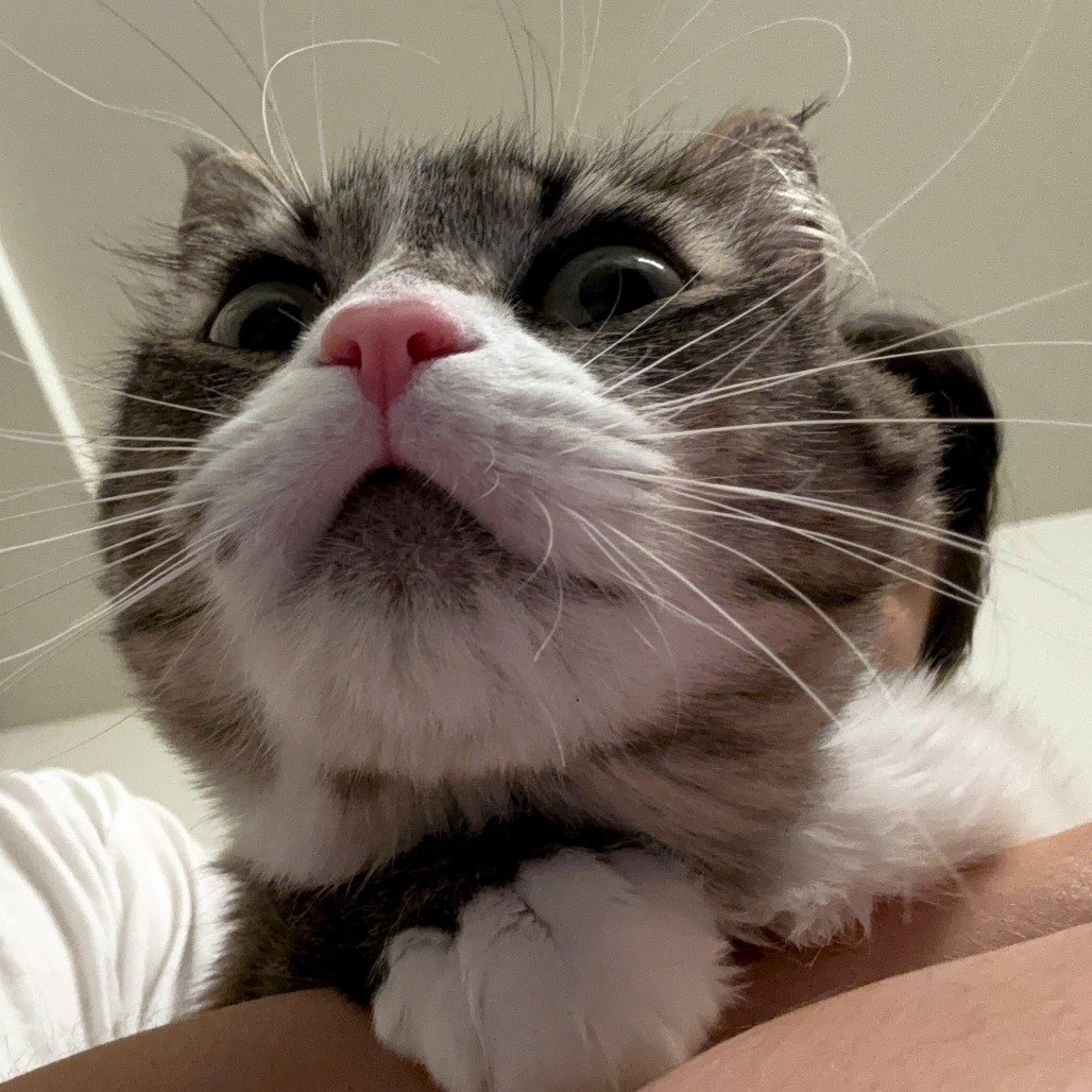 Mia