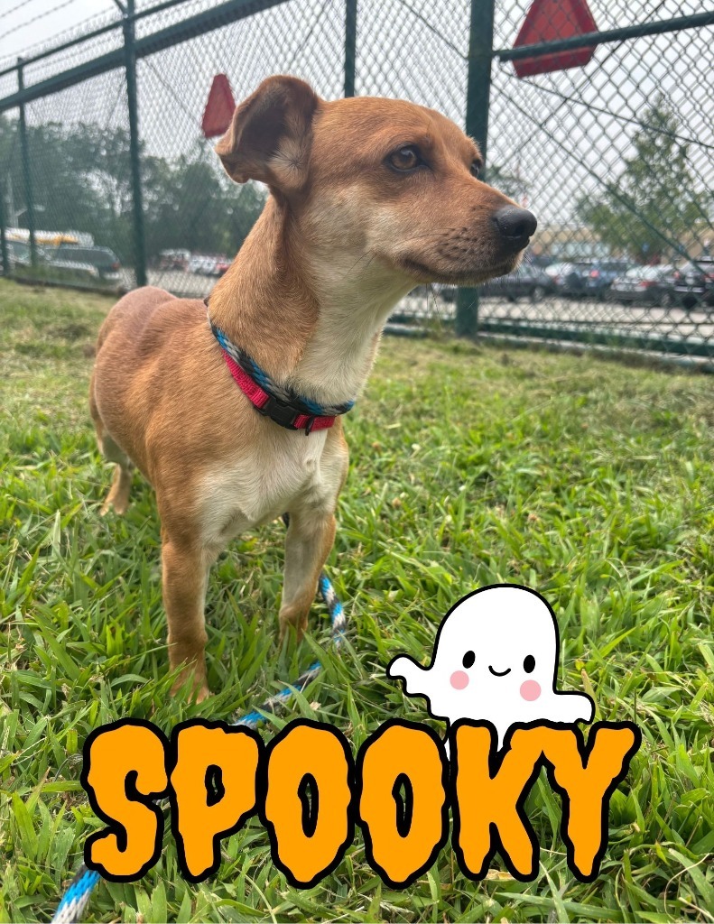 Spooky