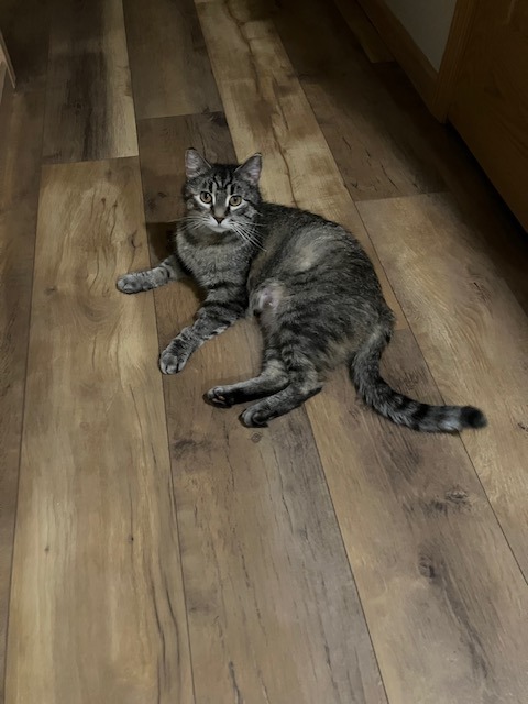Marsha