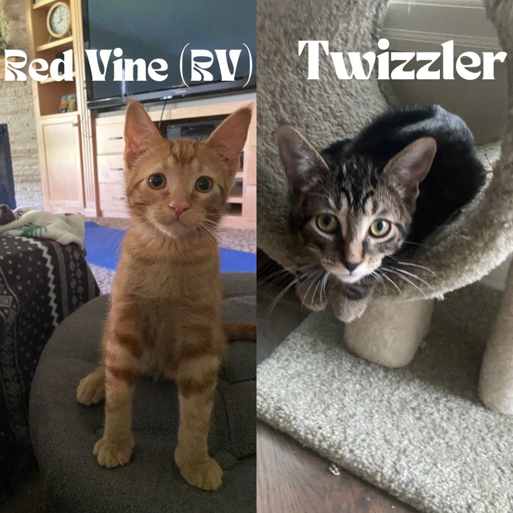 Red Vine / Twizzler