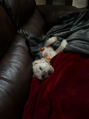 Esther