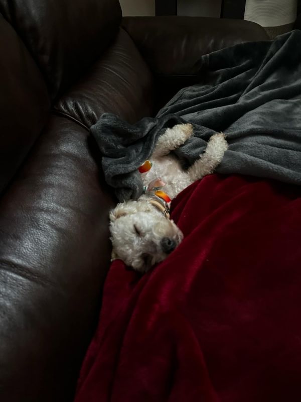 Esther