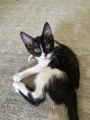 Dottie photo 1
