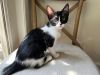 Dottie photo 2