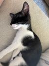 Dottie photo 3