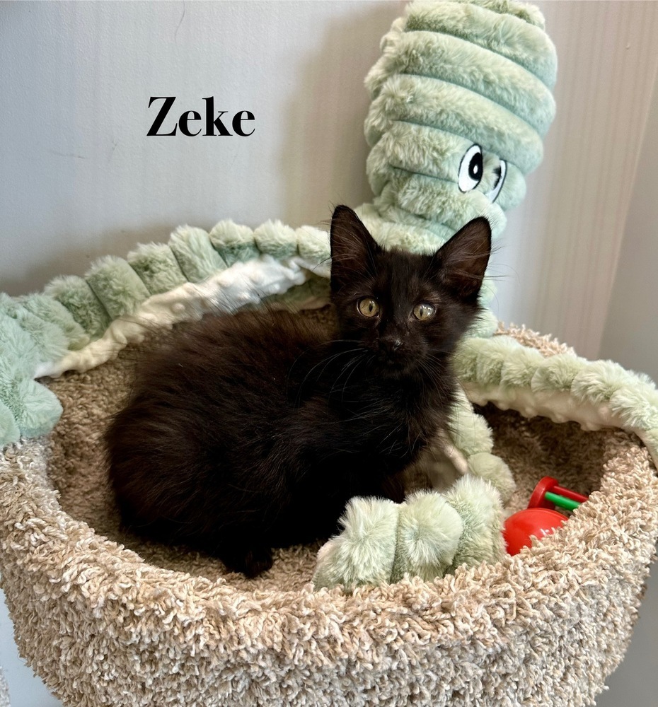 Zeke