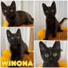 Winona photo 1