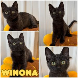 Winona, Baby Female unknown