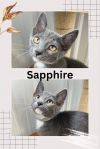 Sapphire photo 1