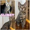 Slinky - Silo photo 1