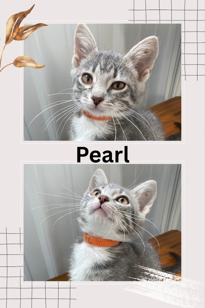 Pearl