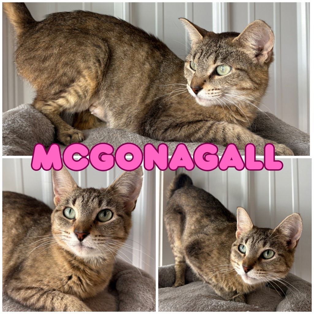 McGonagall