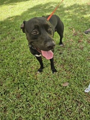 59077224, Adult Male unknown
