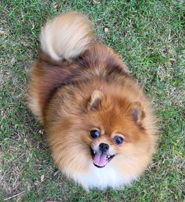 Kiya