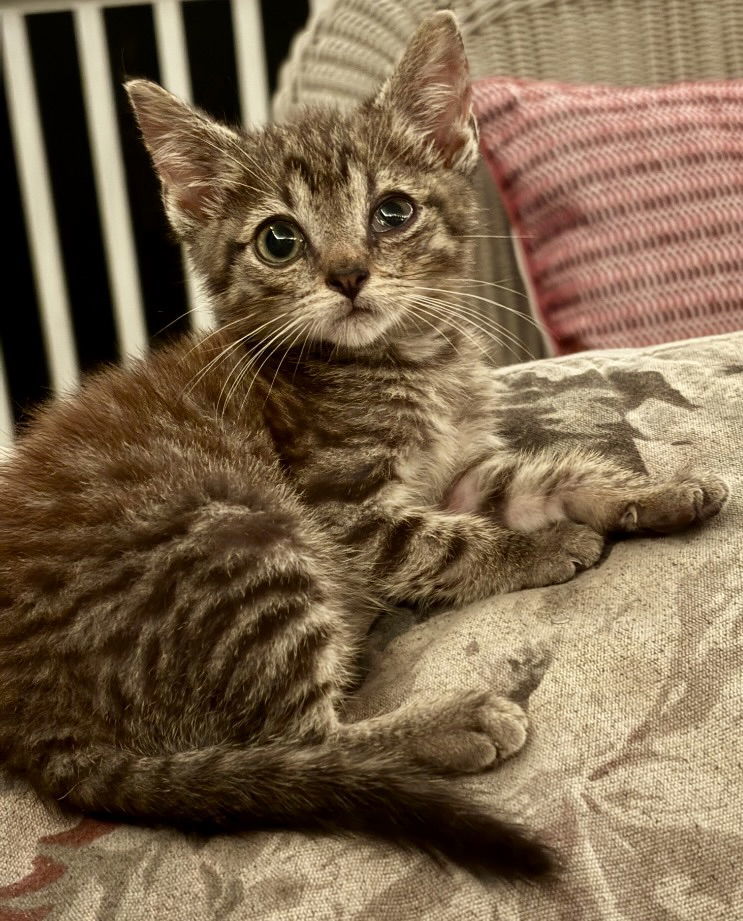 Benson