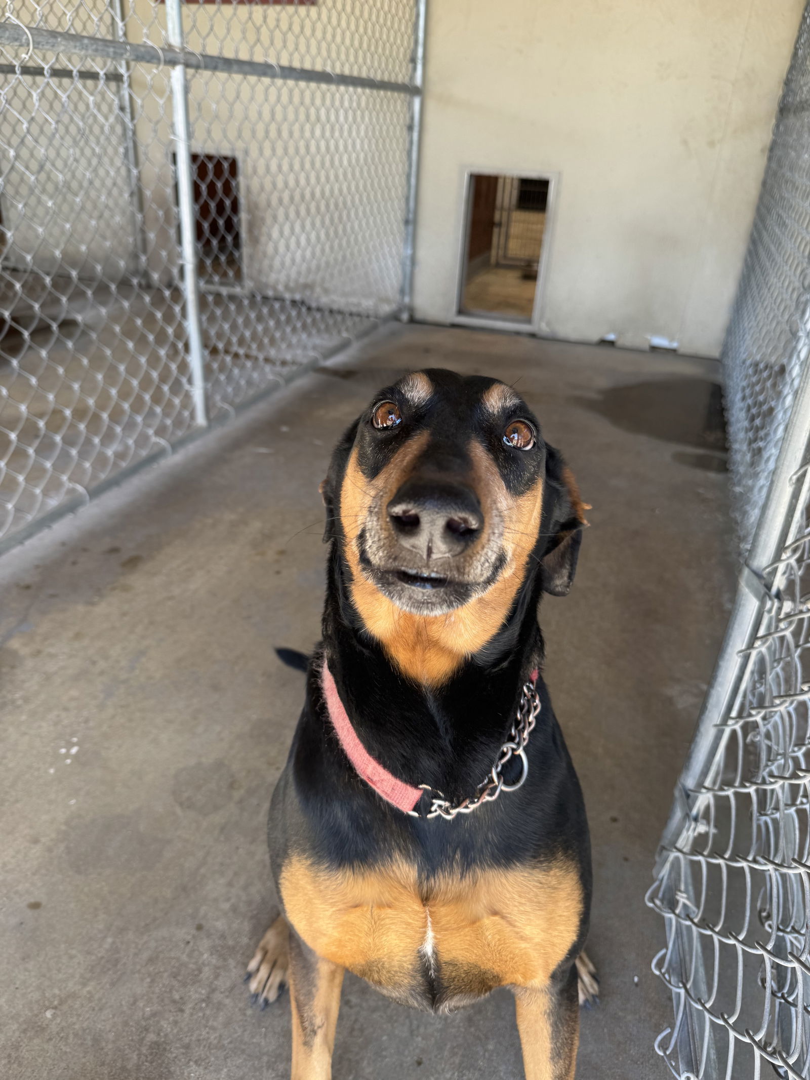 Coco
