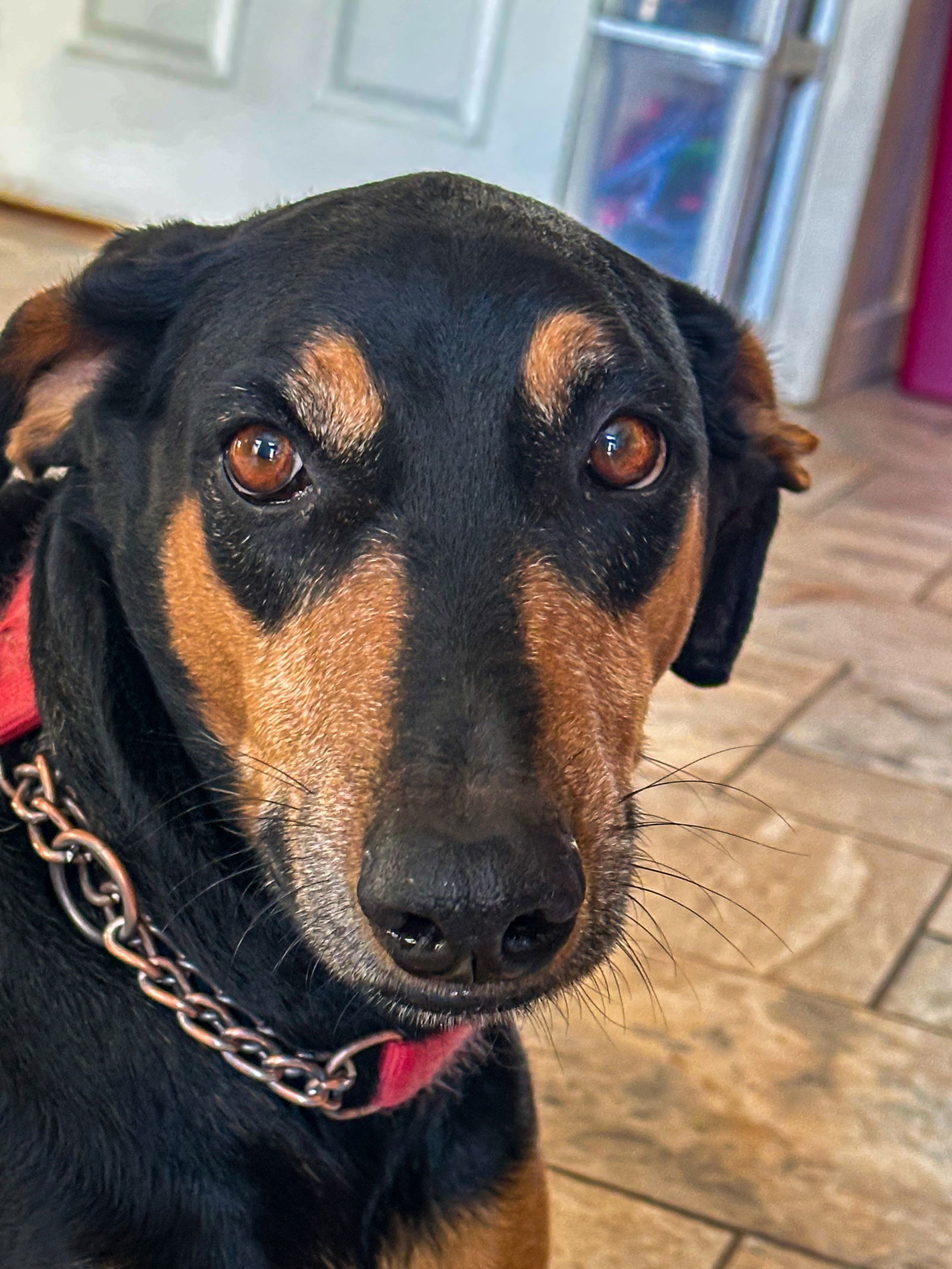 Coco
