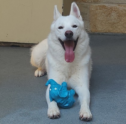 Max