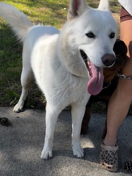 Max
