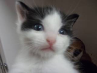 Timmy