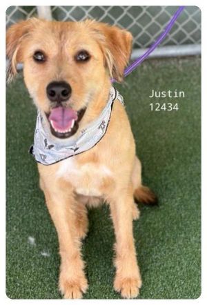 Justin (856)