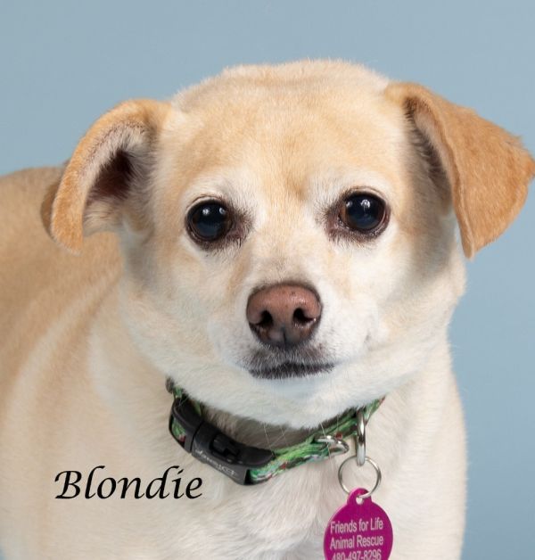 Blondey May