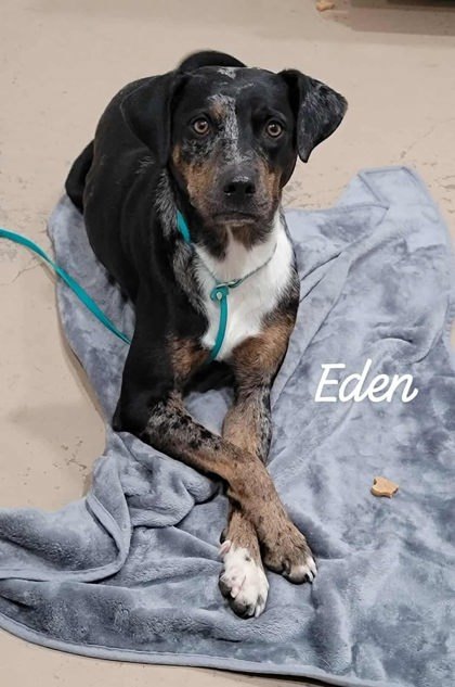Eden