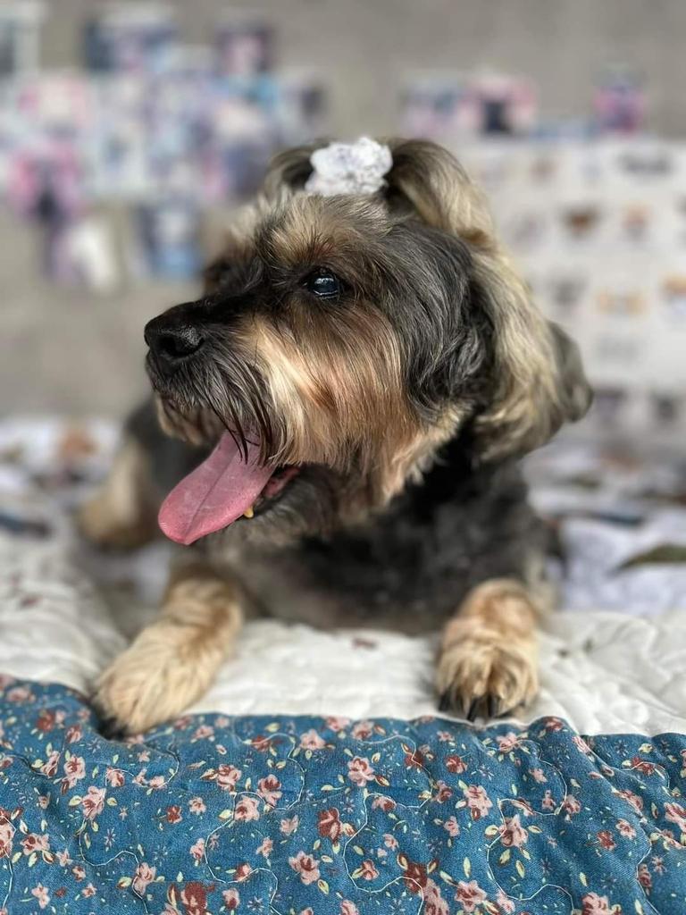 Rosie