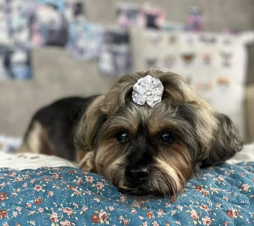 Rosie