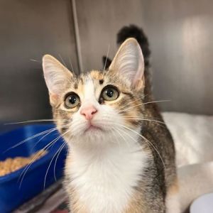 59079571, Baby Female unknown