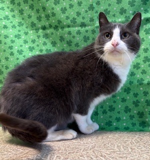 Baby, Adult Female unknown