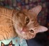 garfield photo 3