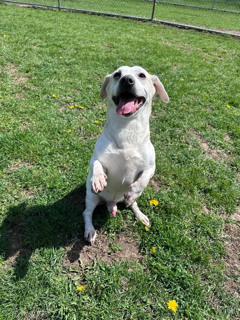 Cynna