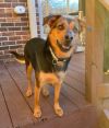 Maggie photo 2