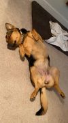 Maggie photo 3