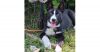 Toby photo 2