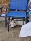 Nelson photo 5