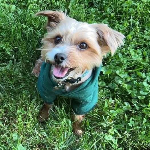 Coco