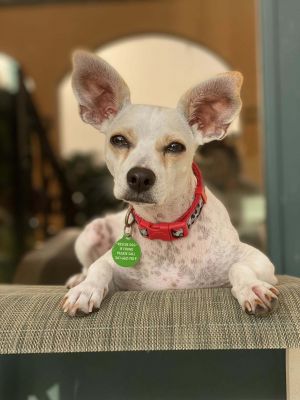 Nora *, Adult Female unknown
