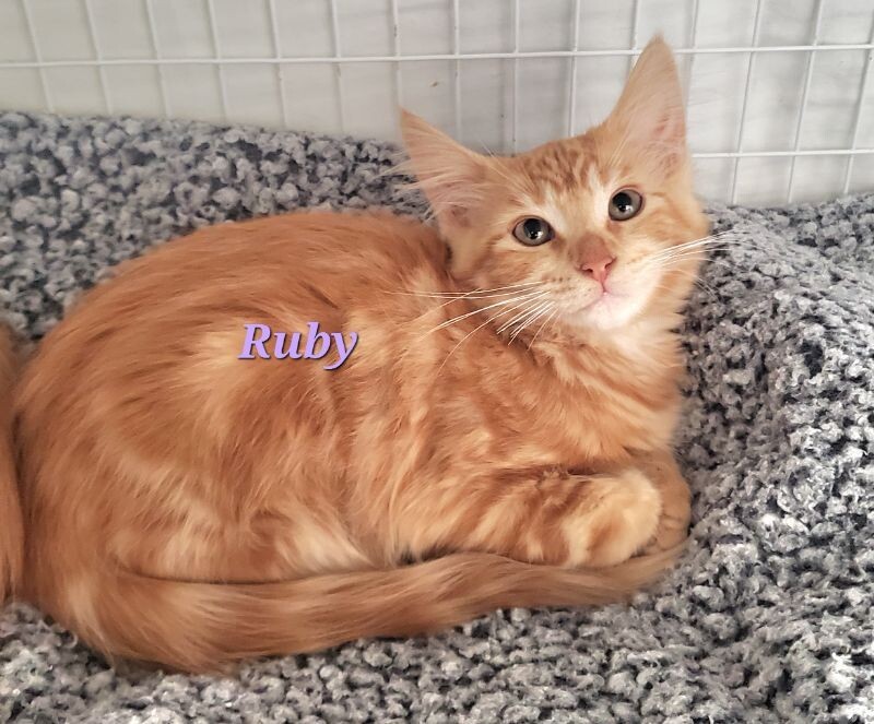 Ruby