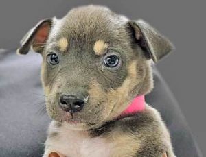 789775, Baby Female unknown