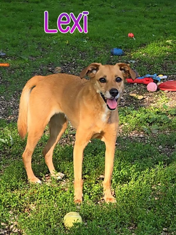 Lexi thumbnail 3